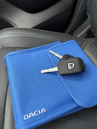 Dacia Spring  picture 21