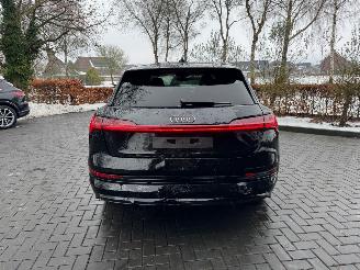 Audi E-tron Audi E-tron 55 Quattro S line Leder Trekhaak Camera VOL ! picture 3