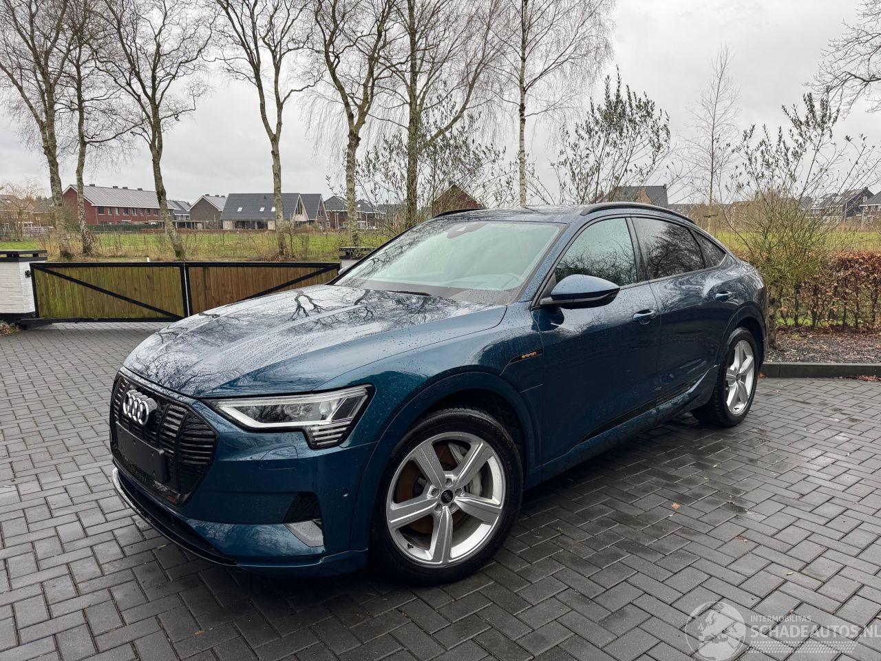 Audi E-tron Audi e-tron Sportback 55 quattro advanced Leder AHK !