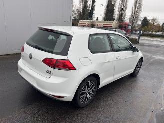 Schadeauto Volkswagen Golf  2013/10