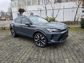 Cupra Formentor VZ 245 kW picture 2