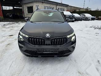 Skoda Kamiq MONTE CARLO picture 12