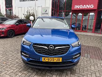 Voiture accidenté Opel Grandland X 1.2 Turbo Business Edition GEEN SCHADE PROBLEEM TURBO 2021/1