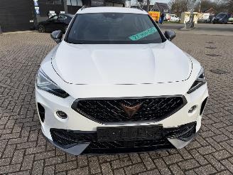 Cupra Formentor 2.0 -180 Kw Automaat VZ picture 4