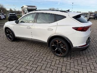 Cupra Formentor 2.0 -180 Kw Automaat VZ picture 19