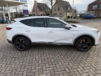 Cupra Formentor 2.0 -180 Kw Automaat VZ picture 10