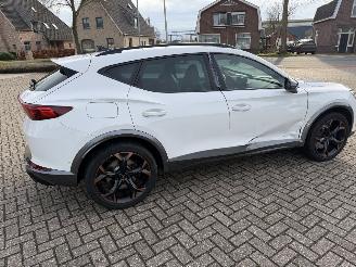 Cupra Formentor 2.0 -180 Kw Automaat VZ picture 11