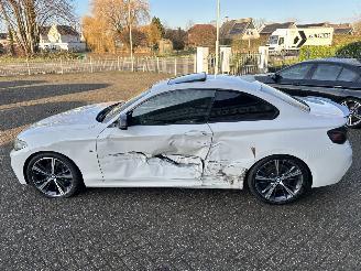 BMW 2-serie 225D Coupé High Executive Automaat picture 28