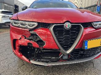 Alfa Romeo Tonale 1.3T PHEV Edizione Speciale picture 10