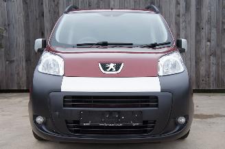 Peugeot Bipper Tepee 1.3 HDi Automaat 5-Persoons Airco Metallic 55KW Euro 5 picture 6