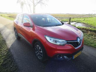 Renault Kadjar 1.2 TCe Intens 131pk 6 bak 2017 Camera Navigatie Clima 2017 leer picture 10