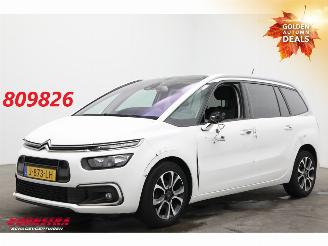 škoda osobní automobily Citroën Grand C4 SpaceTourer 1.2 PureTech Bns 7-Pers. Navi Clima Cruise Camera PDC AHK 46.725 km! 2020/9