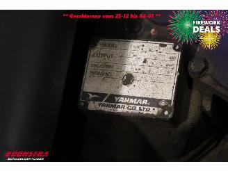   C 610 Compact BY 2011 Rupshijskraan Raupenkran picture 20