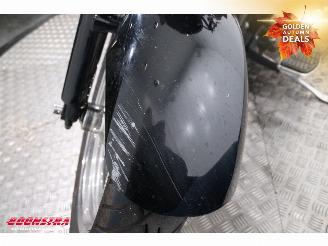 Harley-Davidson  FLSTFI 88 Fat Boy picture 14