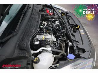 Ford Fiesta 1.0 EcoBoost Hybrid Titanium Navi Clima Cruise PDC picture 7