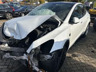  Tesla Model Y Standard Range RWD 2023/12
