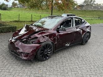 Auto incidentate Tesla Model Y Dual Performance 393 kW 4 WD 2024/11
