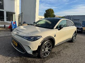 Schadeauto Smart  #3 Premium 66 kWh 2024/10