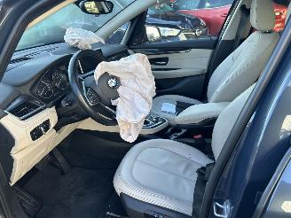 BMW 2-serie 225XE PERFORMANCE HIGH EXECUTIVE picture 8