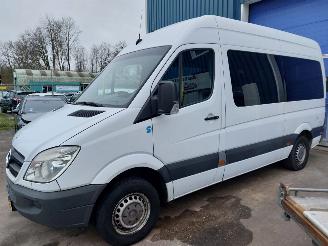 Unfallwagen Mercedes Sprinter Sprinter 3,5t (906.73) Bus 311 CDI 16V 2010/4
