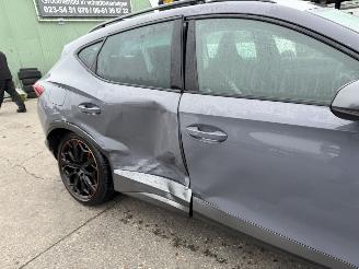 Cupra Formentor 1.4 110KW DSG e-Hybrid Clima Navi Copper Edition picture 24