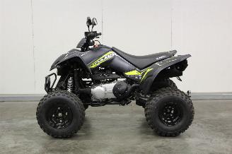 Kymco  Maxxer 300 Quad picture 8