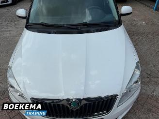Skoda Fabia Combi 1.2 TDI Greenline Airco Cruise picture 5