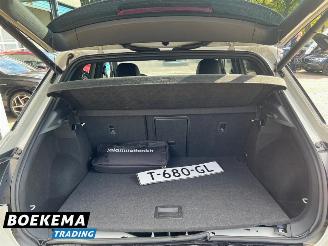 Volkswagen T-Roc 1.5 TSI R-Line Virtual Keyless Led Camera Stoelverw. picture 16