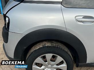 Citroën C4 cactus 1.2 PureTech Shine Navi Climate Cruise PDC picture 7