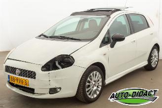 uszkodzony samochody osobowe Fiat Grande Punto 1.4 Airco Pano NeroBianco 2010/2