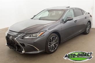 uszkodzony samochody osobowe Lexus ES 300 Hybrid 33.094 km Carpas Clima Navi Leder Camera 2023/5