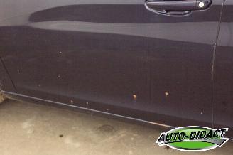 Peugeot 308 1.6 BlueHDi Clima Navi Camera Feline picture 33