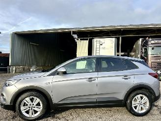 Schadeauto Opel Grandland X 1.2 Turbo 131pk 6-bak Online Edition - nap - navi - clima - cruise - pdc v+a - carplay - privacy glass 2018/9