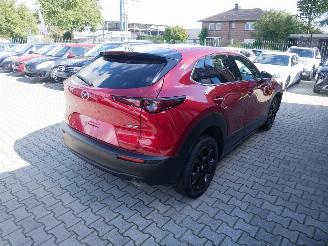 Mazda CX-30 SKYACTIVE X picture 3