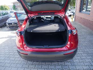 Mazda CX-30 SKYACTIVE X picture 13