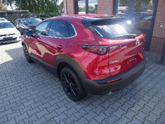 Mazda CX-30 SKYACTIVE X picture 4