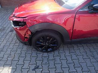 Mazda CX-30 SKYACTIVE X picture 5