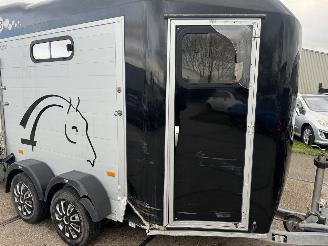 Cheval Liberte  2 paards picture 8