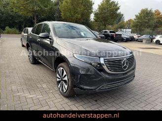 uszkodzony samochody osobowe Mercedes EQC 400 4Matic 80KWH 300KW Burm leder AHK 2022/11