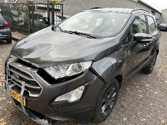 Coche accidentado Ford EcoSport 1.0 2019/9