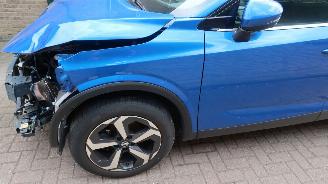 Nissan Qashqai Nissan Qashqai 1.3 MHEV Xtronic Premiere Edition Edition picture 33