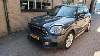 Vaurioauto  passenger cars Mini Countryman Mini Countryman 2.0 Cooper SD ALL4 Chili 2017/7