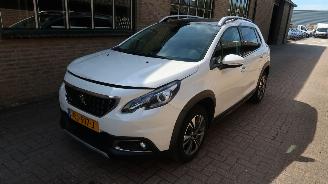 škoda osobní automobily Peugeot 2008 30-11-2017 2017/1