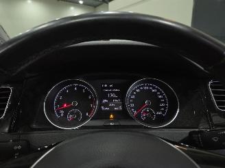 Volkswagen Golf PANO ACC picture 11