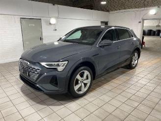 Audi Q8 e-tron 55 quattro advanced HUD/AHK/KAM/NAVI picture 5