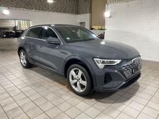 uszkodzony samochody osobowe Audi Q8 e-tron 55 quattro advanced HUD/AHK/KAM/NAVI 2024/6