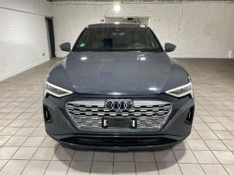 Audi Q8 e-tron 55 quattro advanced HUD/AHK/KAM/NAVI picture 3