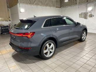 Audi Q8 e-tron 55 quattro advanced HUD/AHK/KAM/NAVI picture 9