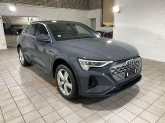 Audi Q8 e-tron 55 quattro advanced HUD/AHK/KAM/NAVI picture 2
