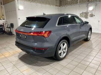 Audi Q8 e-tron 55 quattro advanced HUD/AHK/KAM/NAVI picture 8